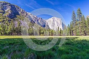 Landscape of meadow, forest and mountains in Yosemite NP