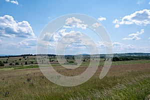 Landscape and meadow with lupins in the high Rhoen