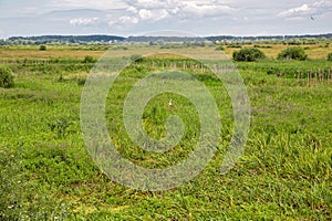 Landscape with meadows and marshes