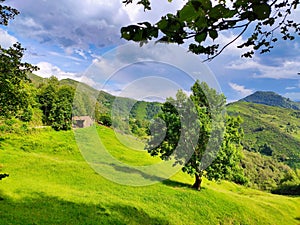 Landscape with meadows near Frieru track, Redes Nature Park and Biosphere Reserve, Caso municipality, Asturias, Spain photo