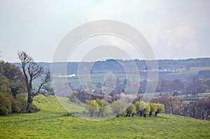 landscape with meadows and trees near slenaken in durch province of south limburg