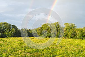 Landscape of meadows and trees with rainbows