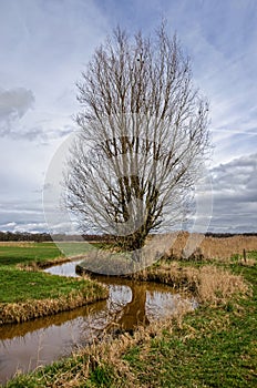 Landscape with meandering ditch and path