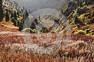 Landscape in Medeo valley. Kazakhstan