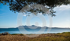 Landscape of the Mediterranean coast with mountains and conifers