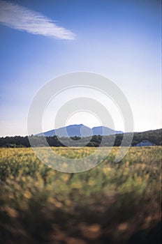 Landscape with medow, hill and sky background