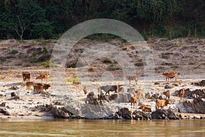 Landscape during Megokng cruise Laos