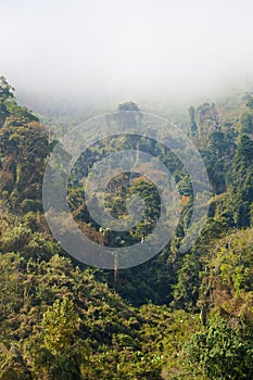 Landscape during Megokng cruise Laos