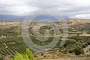 Landscape of Messara Valley