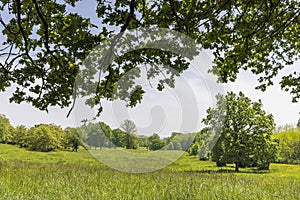 Landscape Michelbach area in France