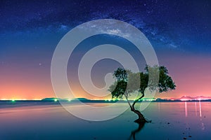 Landscape with Milky way galaxy. Night sky with stars and silhouette mangrove tree in sea. Long exposure photograph.