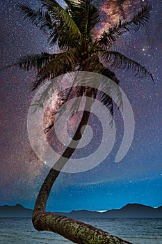 Landscape with Milky way galaxy. Night sky with stars and silhouette coconut palm tree on the mountain. Long exposure photograph