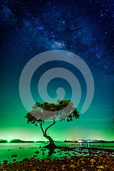 Landscape with Milky way galaxy. Night sky with stars and silhouette mangrove tree in sea. Long exposure photograph