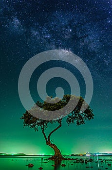 Landscape with Milky way galaxy. Night sky with stars and silhouette mangrove tree in sea. Long exposure photograph.
