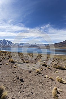 Landscape of Miscanti lagoon
