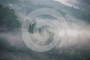 Landscape of misty mountain forest covered hills at khao khai nu