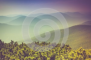 Landscape of misty mountain hills covered by forest.