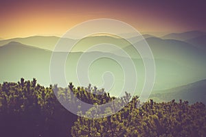 Landscape of misty mountain hills covered by forest.