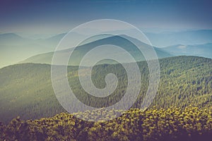 Landscape of misty mountain hills covered by forest.