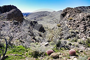 Landscape in the Mojave Desert, California