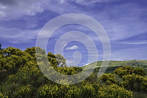 Landscape in Molise near Macchiagodena and Sant Angelo in Grotte photo