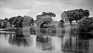Landscape, Monochrome, reflection, trees, lake, BlackandWhite photo