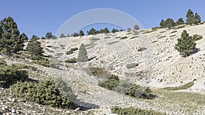 Landscape Mont Ventoux in the sunshine