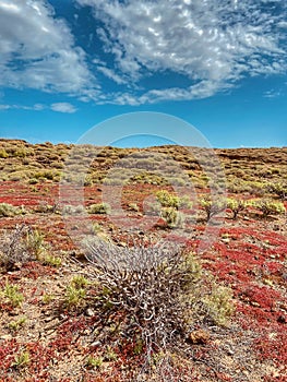 Landscape of MontaÃ±a Pelada Natural Reserve on a sunny day photo