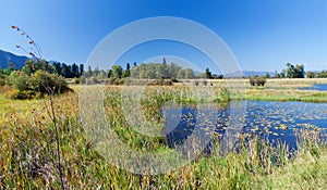 Landscape in Montana