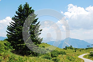 Landscape on Monte Zoncolan