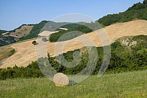 Landscape in Montefeltro near Urbania Marches, Italy
