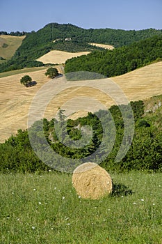 Landscape in Montefeltro near Urbania Marches, Italy