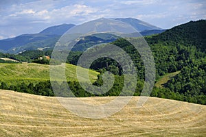 Landscape in Montefeltro near Urbania Marches, Italy