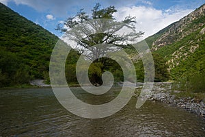 Landscape in Monterrey from Rio Pilon, rivers, water