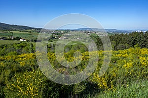 Landscape of the Monts du Lyonnais in France in spring