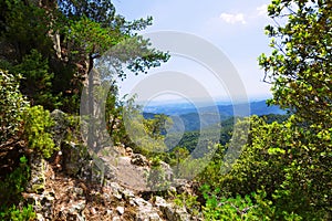 Landscape of Montseny. Catalonia