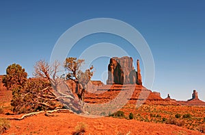 Landscape of Monument Valley Navajo Nation