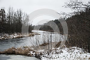 landscape with morning fog in the forest lake