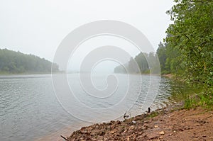 Landscape morning fog over lake