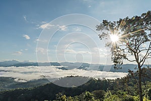 Landscape of Morning Mist with Mountain Layer at Mae Yom National Park, Phrae province