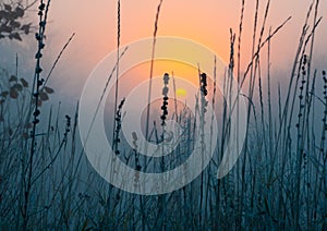 Landscape of morning sunrise