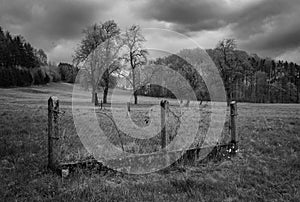 Landscape in Mostviertel with Fence and Trees in Monochrome