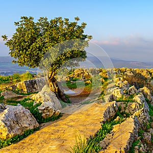 Landscape of Mount Arbel National Park