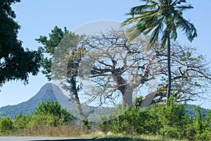 Landscape with mount Choungui on the island of Mayotte photo