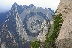 Landscape of Mount Hua photo