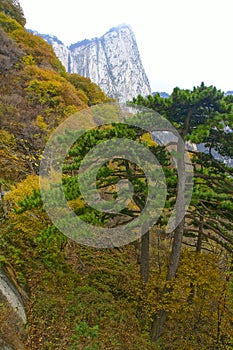 Landscape of Mount Hua photo