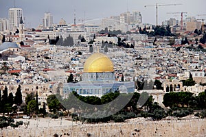 Landscape from Mount Olives