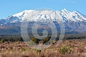 Landscape of Mount Ruapehu in Tongariro National Park