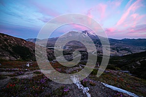 Landscape of Mount Saint Helens Sunset with Wildflowers photo