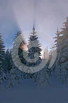 Landscape of mountain;